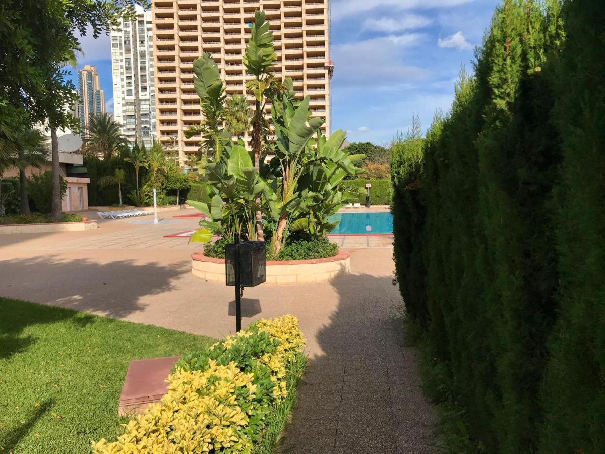 Paraiso 10 Blueline Apartamento *